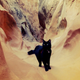 Illustration for article titled Your afternoon squee: Millie, the rock-climbing cat.